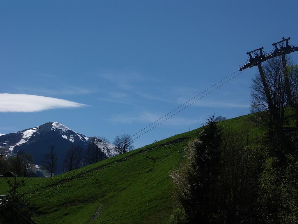 Haus Bergheim Appartement Saalbach-Hinterglemm Buitenkant foto