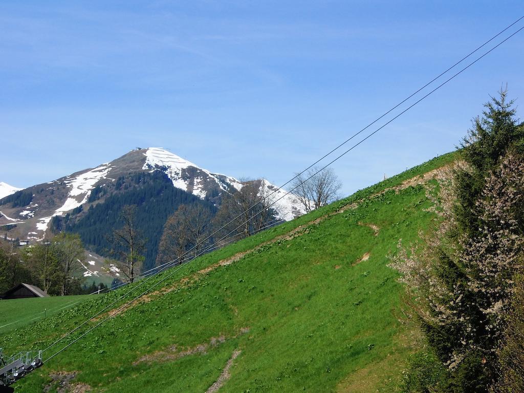 Haus Bergheim Appartement Saalbach-Hinterglemm Buitenkant foto